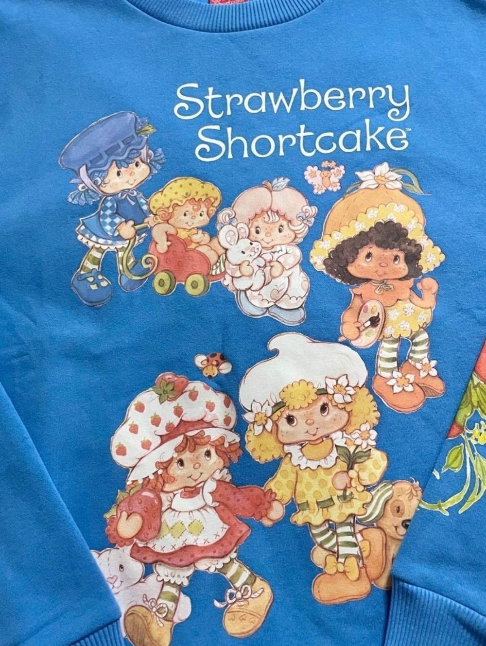 Strawberry Shortcake Sweater SM
